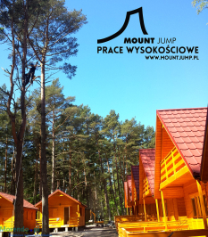 Ścinka drzew, ścinka sekcyjna prace alpinistyczne