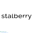 Profesjonalne cążki do paznokci expert  - Stalberry