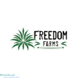 Producent olejków CBD - Freedom Farms