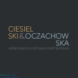 Prawo karne gospodarcze - Ciesielski & Oczachowska