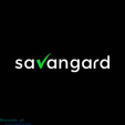 Systemy IT dla biznesu - Savangard