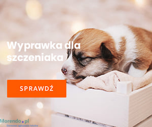 dla kochanych czworonogów!