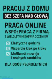 PRACA W DOMU PRZY KOMPUTERZE